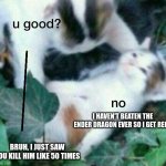 u good? no | I HAVEN'T BEATEN THE ENDER DRAGON EVER SO I GET REKT; BRUH, I JUST SAW YOU KILL HIM LIKE 50 TIMES | image tagged in u good no | made w/ Imgflip meme maker