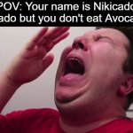 How pathetic to name yourself that and not man up to what you say you are | POV: Your name is Nikicado Avocado but you don't eat Avocado's: | image tagged in nikacado avocado cries,joke,huh | made w/ Imgflip meme maker