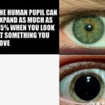 The human pupil can expand as much as 55%
