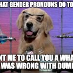 I have no idea what I'm doing dog | THIS IS WHAT GENDER PRONOUNS DO TO MY BRAIN; YOU WANT ME TO CALL YOU A WHAT NOW? 
WHAT WAS WRONG WITH DUMBASS? | image tagged in i have no idea what i'm doing dog | made w/ Imgflip meme maker