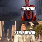 Wizard Science Teacher vs Brad Tierzoo vs Chad Steve Irwin | BIOLOGY TEACHER TEACHING ZOOLOGY; TIERZOO; STEVE IRWIN; STEVE IRWIN; TIERZOO | image tagged in snotty boy glow up meme | made w/ Imgflip meme maker