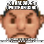 No upvote begging violation