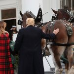 Trump and horse