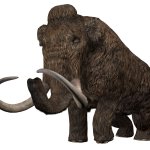 Woolly Mammoth (JWA Design)