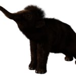 Woolly Mammoth Calf