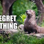 Super Lutra | I REGRET
NOTHING | image tagged in no regrets,otter,i regret nothing | made w/ Imgflip meme maker