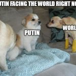 Putin Vs world | PUTIN FACING THE WORLD RIGHT NOW; WORLD; PUTIN | image tagged in dog avoiding eye contact with staring dog | made w/ Imgflip meme maker