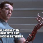 The Blockinator | ME, LOOKING AT MY HANDS AFTER A DAY OF BLOCKING ON TWITTER | image tagged in terminator | made w/ Imgflip meme maker