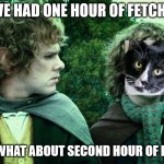 We've had one yes... | WE'VE HAD ONE HOUR OF FETCH YES; BUT WHAT ABOUT SECOND HOUR OF FETCH | image tagged in we've had one yes | made w/ Imgflip meme maker