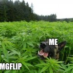 Wholesome Template | ME; IMGFLIP | image tagged in weed policedog,imgflip | made w/ Imgflip meme maker