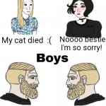 Idk | My cat died  :( Noooo bestie
I'm so sorry! My dog died Yeah they do that | image tagged in girls vs boys,dogs,cats,die | made w/ Imgflip meme maker