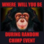 random chimp event