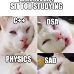 Programer cat | WHENEVER I SIT FOR STUDYING; DSA; C++; SAD; PHYSICS | image tagged in bored cat,programmers,programming | made w/ Imgflip meme maker