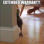 You Have Yet To Extend Your Car's Warranty | SUSIE COMING TO ASK ABOUT MY CAR'S EXTENDED WARRANTY: | image tagged in duck looking around corner | made w/ Imgflip meme maker