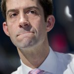 Tom Cotton's nose votes separately from the rest of him.
