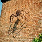 Big Spider Climbing wall
