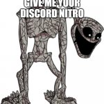 Aurora | GIVE ME YOUR DISCORD NITRO | image tagged in aurora | made w/ Imgflip meme maker