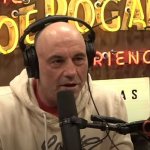 The Joe Rogan Experience