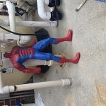 Spidey with no head