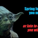 Yoda on DST begins | Spring forward
you must; or late to church
you will be | image tagged in yoda quote | made w/ Imgflip meme maker