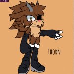 Thorn the sheep