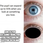 Blindness Eyes | AND IF YOU SEE SOMETHING YOU WISH YOU COULDN'T SEE, YOU GO BLIND | image tagged in memes | made w/ Imgflip meme maker
