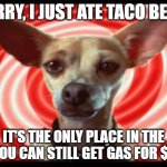 Gas in US - Taco Bell | SORRY, I JUST ATE TACO BELL... IT'S THE ONLY PLACE IN THE US YOU CAN STILL GET GAS FOR $1.69 | image tagged in taco bell dog | made w/ Imgflip meme maker