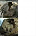 Dimetrodon Approves meme