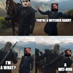 You're A Witcher! | YOU'RE A WITCHER HARRY; I'M A WHAT? A WIT-HUH | image tagged in witcher,harry potter,you're a wizard harry | made w/ Imgflip meme maker