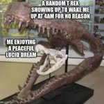 my dreams be like | A RANDOM T REX SHOWING UP TO WAKE ME UP AT 4AM FOR NO REASON; ME ENJOYING A PEACEFUL LUCID DREAM | image tagged in dinosaur eating dinosaur | made w/ Imgflip meme maker