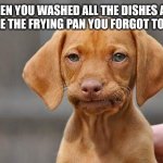 Dissapointed puppy | WHEN YOU WASHED ALL THE DISHES AND YOU SEE THE FRYING PAN YOU FORGOT TO WASH | image tagged in dissapointed puppy | made w/ Imgflip meme maker