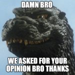 Godzilla Smile | DAMN BRO; WE ASKED FOR YOUR OPINION BRO THANKS | image tagged in godzilla smile | made w/ Imgflip meme maker