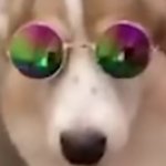 HI!?