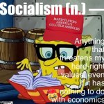 MAGA definition of socialism