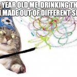 Wizard Cat | 5 YEAR OLD ME  DRINKING THE POTIONS I MADE OUT OF DIFFERENT SHAMPOOS | image tagged in wizard cat | made w/ Imgflip meme maker