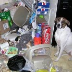 Trash Dog Special Operations