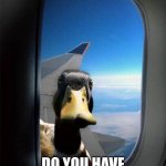 The Duck wants bread. | OH HELLO THERE; DO YOU HAVE ANY BREAD? | image tagged in airplane duck | made w/ Imgflip meme maker