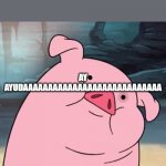 Pato Gravity Falls | AY AYUDAAAAAAAAAAAAAAAAAAAAAAAAAAAA | image tagged in pato gravity falls | made w/ Imgflip meme maker