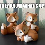 The Foxes... they know what's up! | THEY KNOW WHAT'S UP! | image tagged in curious foxes | made w/ Imgflip meme maker