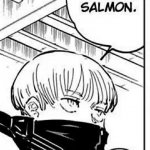Salmon salmon