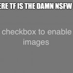 NSFW box | WHERE TF IS THE DAMN NSFW BOX | image tagged in nsfw box | made w/ Imgflip meme maker