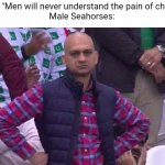 The males give birth | Women: "Men will never understand the pain of childbirth."
Male Seahorses: | image tagged in angry pakistani fan,seahawks,children | made w/ Imgflip meme maker