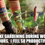 Gardening during work | I LIKE GARDENING DURING WORK HOURS.  I FEEL SO PRODUCTIVE. | image tagged in gardening | made w/ Imgflip meme maker