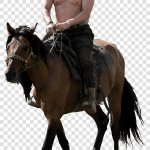 Putin on horse Transparency