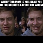 I'm not even gonna try | WHEN YOUR MOM IS YELLING AT YOU BUT SHE PRONOUNCES A WORD THE WRONG WAY | image tagged in toby maguire crying and laughing | made w/ Imgflip meme maker