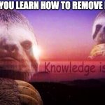 I am so powerful | WHEN YOU LEARN HOW TO REMOVE HAPARA | image tagged in sloth knowledge is power,hapara,meme,funny | made w/ Imgflip meme maker