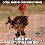 Daylight Savings Time | ACTUAL PHOTO OF ME HEADING TO WORK; MONDAY AFTER
DAYLIGHT SAVINGS TIME BEGINS | image tagged in rooster | made w/ Imgflip meme maker