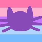 Catgender flag