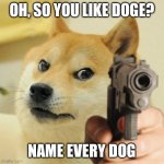 INSIPIRED BY OH SO YOU LIEK X | OH, SO YOU LIKE DOGE? NAME EVERY DOG | image tagged in doge gun | made w/ Imgflip meme maker
