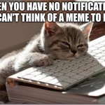 Bored Keyboard Cat | WHEN YOU HAVE NO NOTIFICATIONS AND CAN'T THINK OF A MEME TO MAKE: | image tagged in bored keyboard cat | made w/ Imgflip meme maker